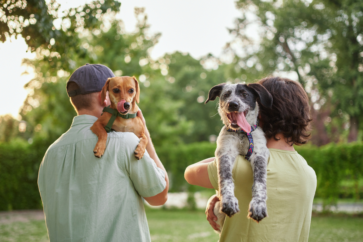 The Scoop on Pet Ownership in the U.S.: A Comprehensive Guide